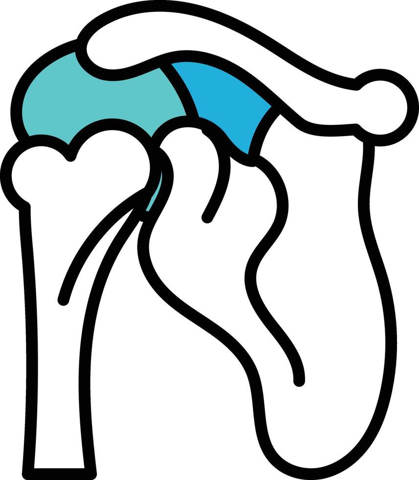 Illustration of shoulder bone in line drawing style. vector