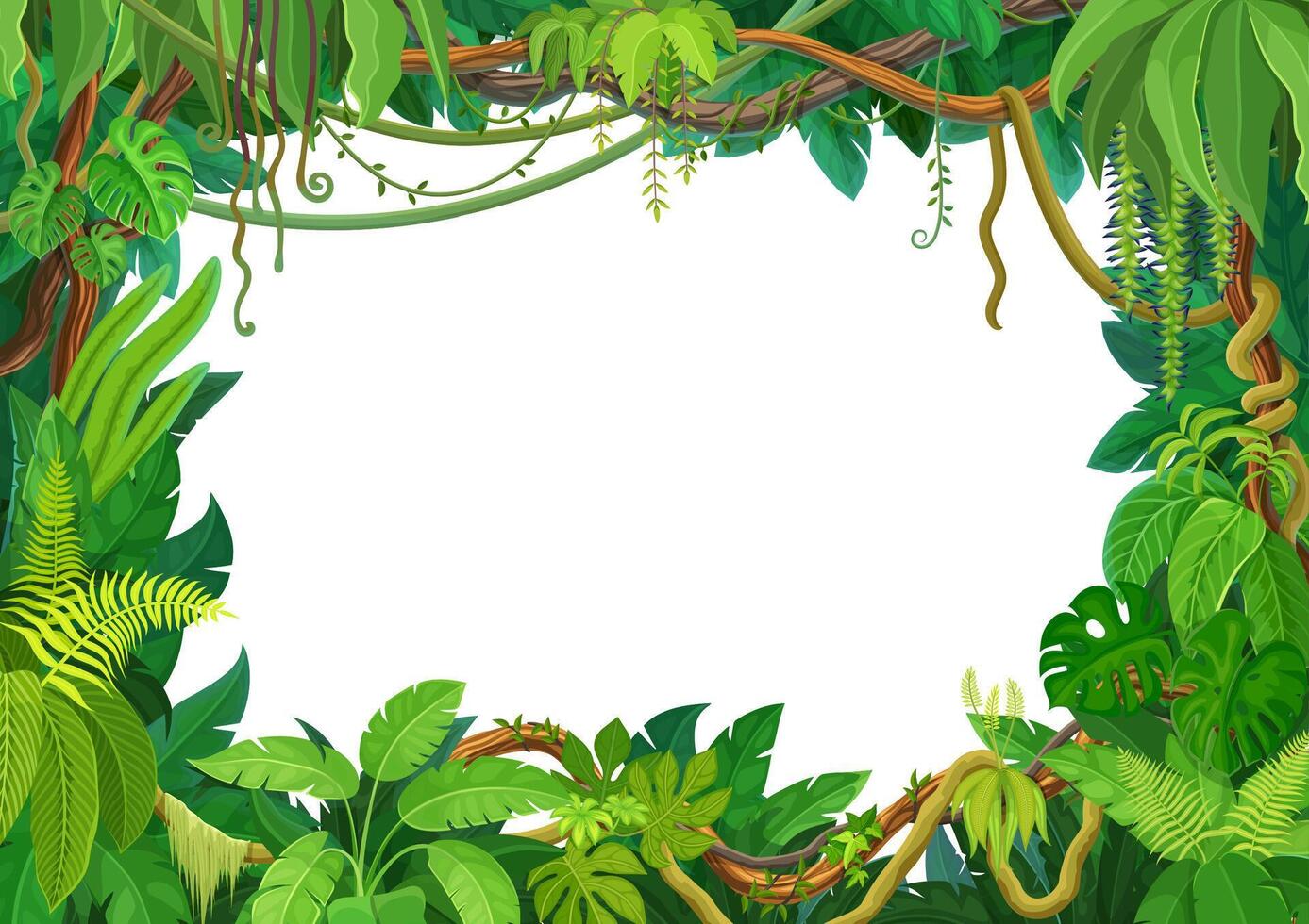 Tropical liana frame of jungle forest ivy branches vector