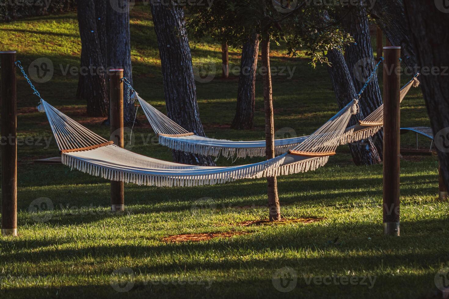 Hammock. installed on trees for a perfect holiday at sea photo