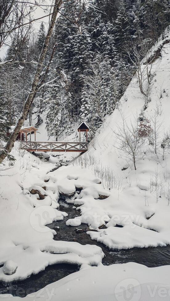 Huk waterfall, frozen waterfall at winter, Carpathian National Park. Ukraine. photo
