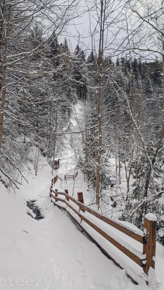 Panoramic view over Carpathian Mountains in wintertime. photo