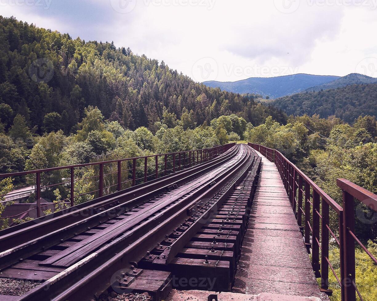 View on railway bridge above the Prut river. Yaremche, Ukraine photo