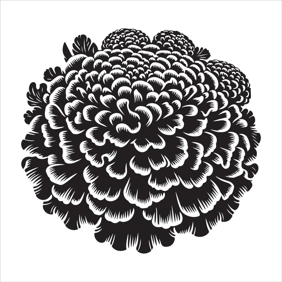 Marigold Seeds and head vector