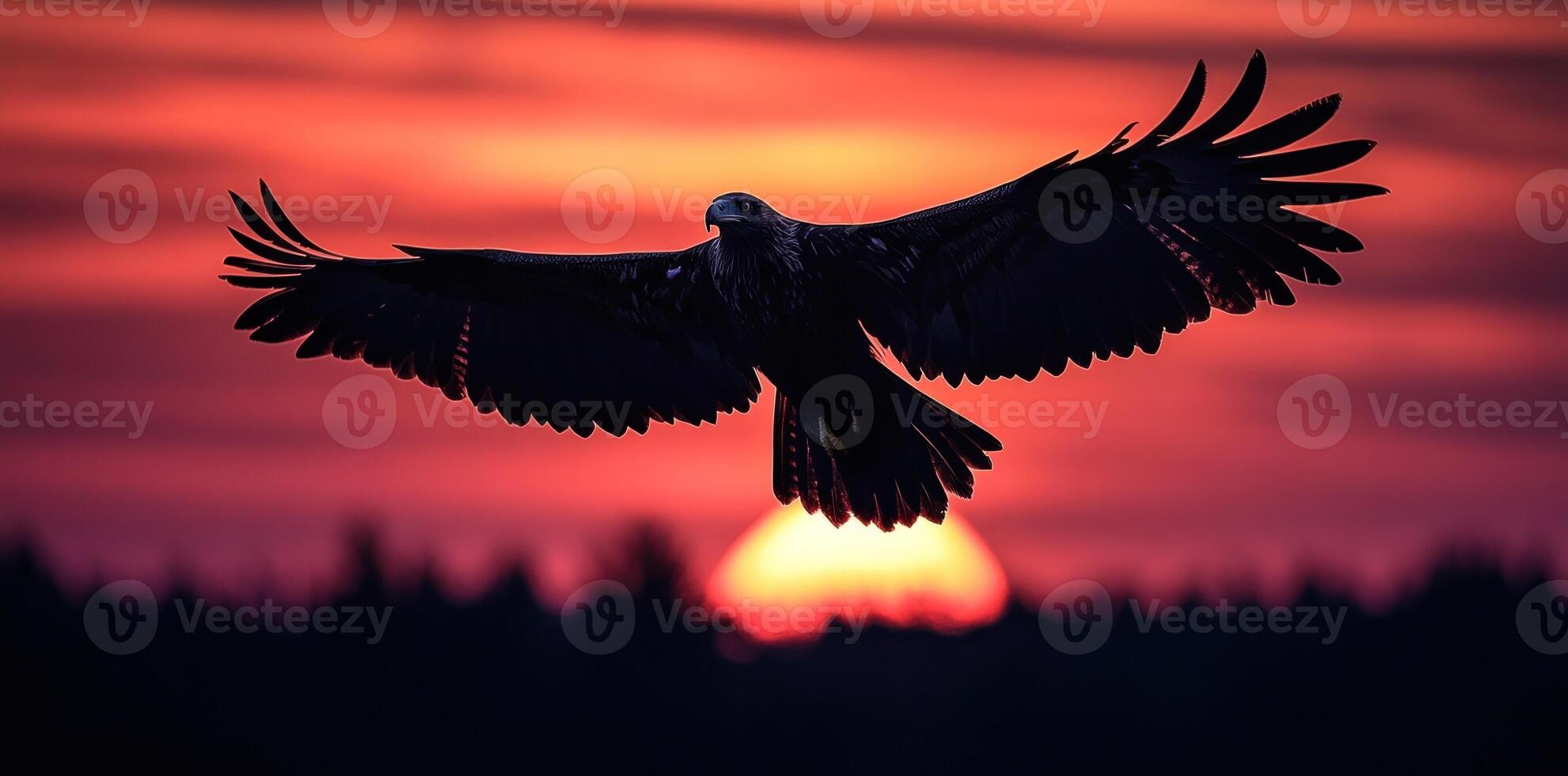 Silhouetted Eagle Soaring Against a Dramatic Sunset Sky photo