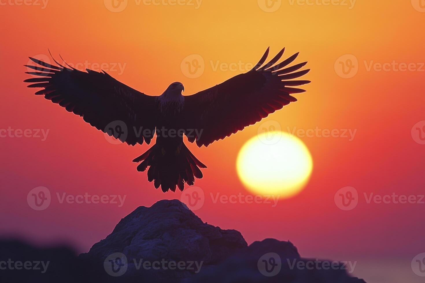 Silhouette of an Eagle with Spread Wings Against a Sunset Sky photo