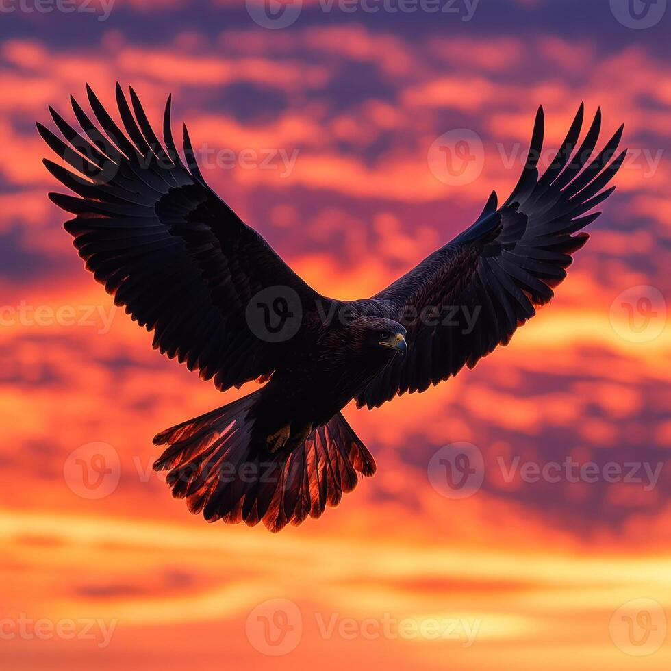 Golden Eagle Silhouette Soaring Against a Dramatic Sunset Sky photo