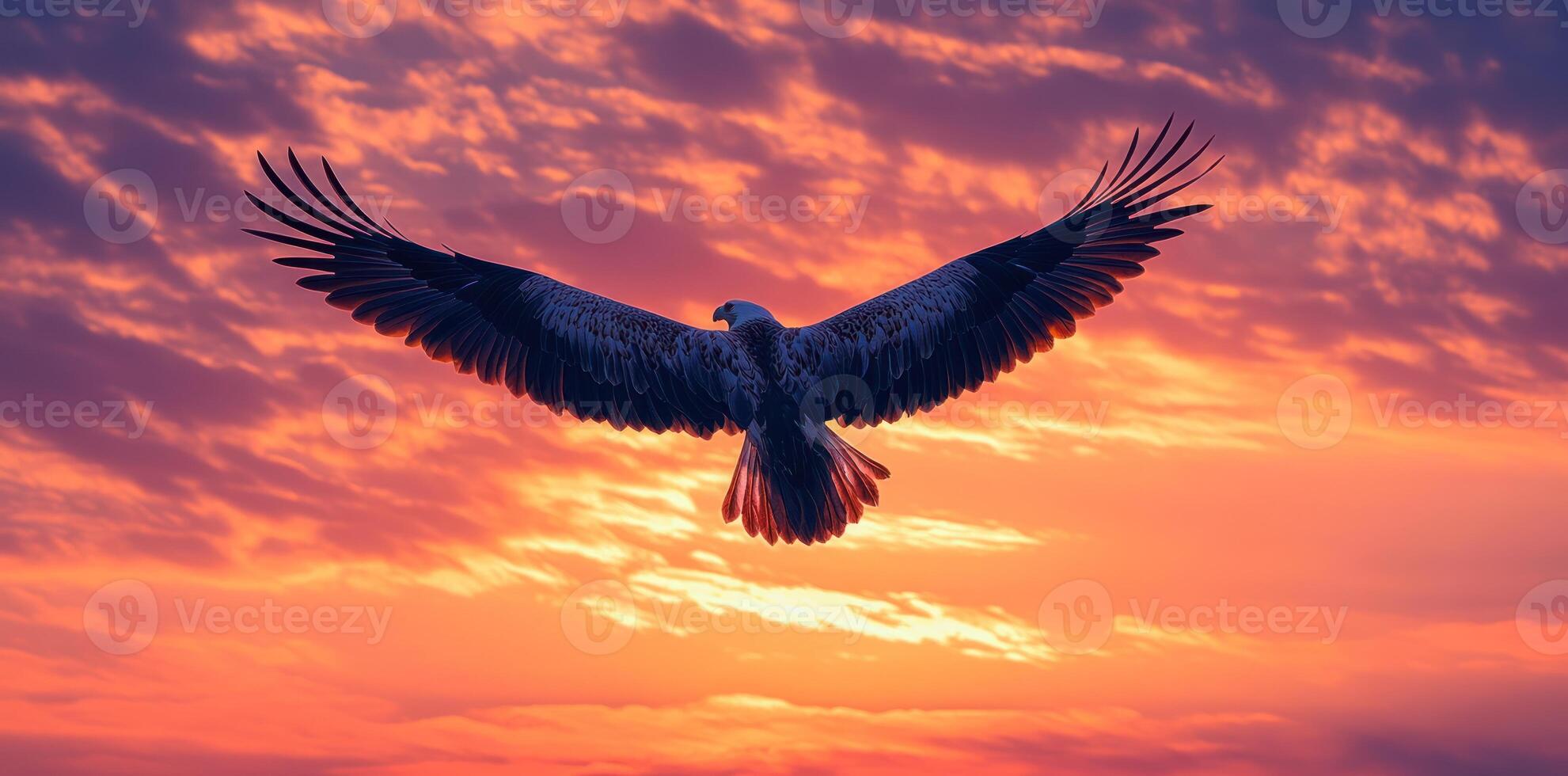 Eagle in Flight Against a Sunset Sky photo