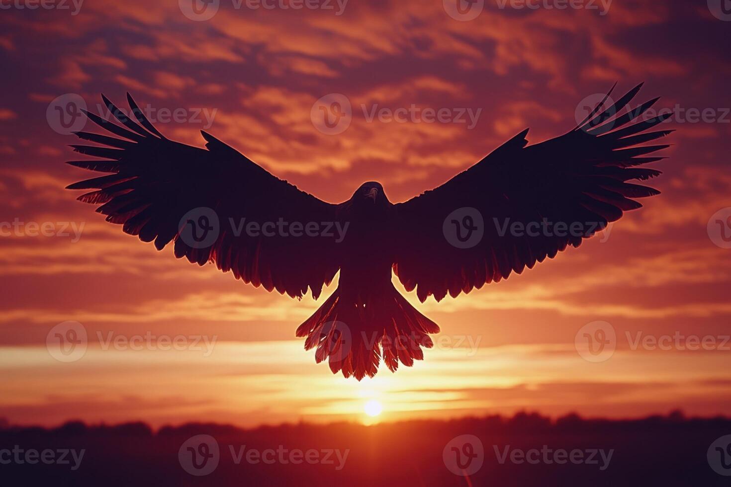Silhouette of an Eagle in Flight at Sunset photo