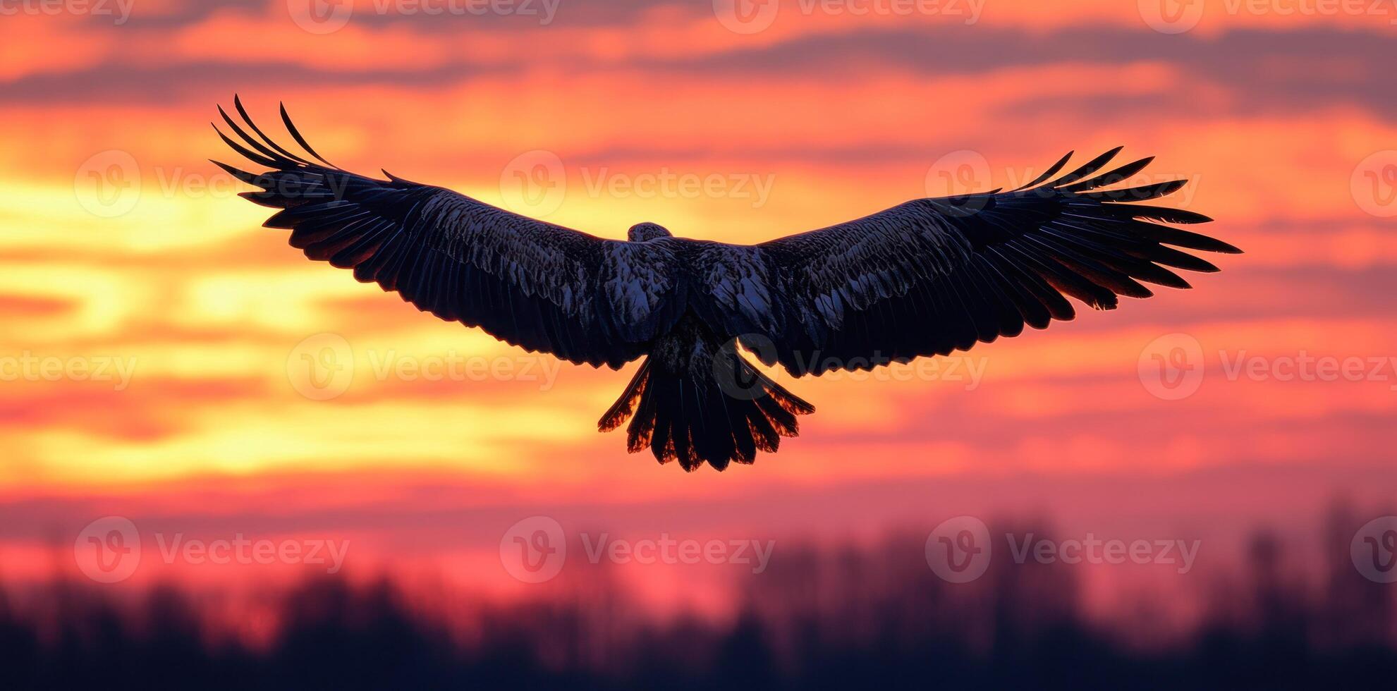 Silhouette of a Bird of Prey in Flight Against a Vibrant Sunset Sky photo