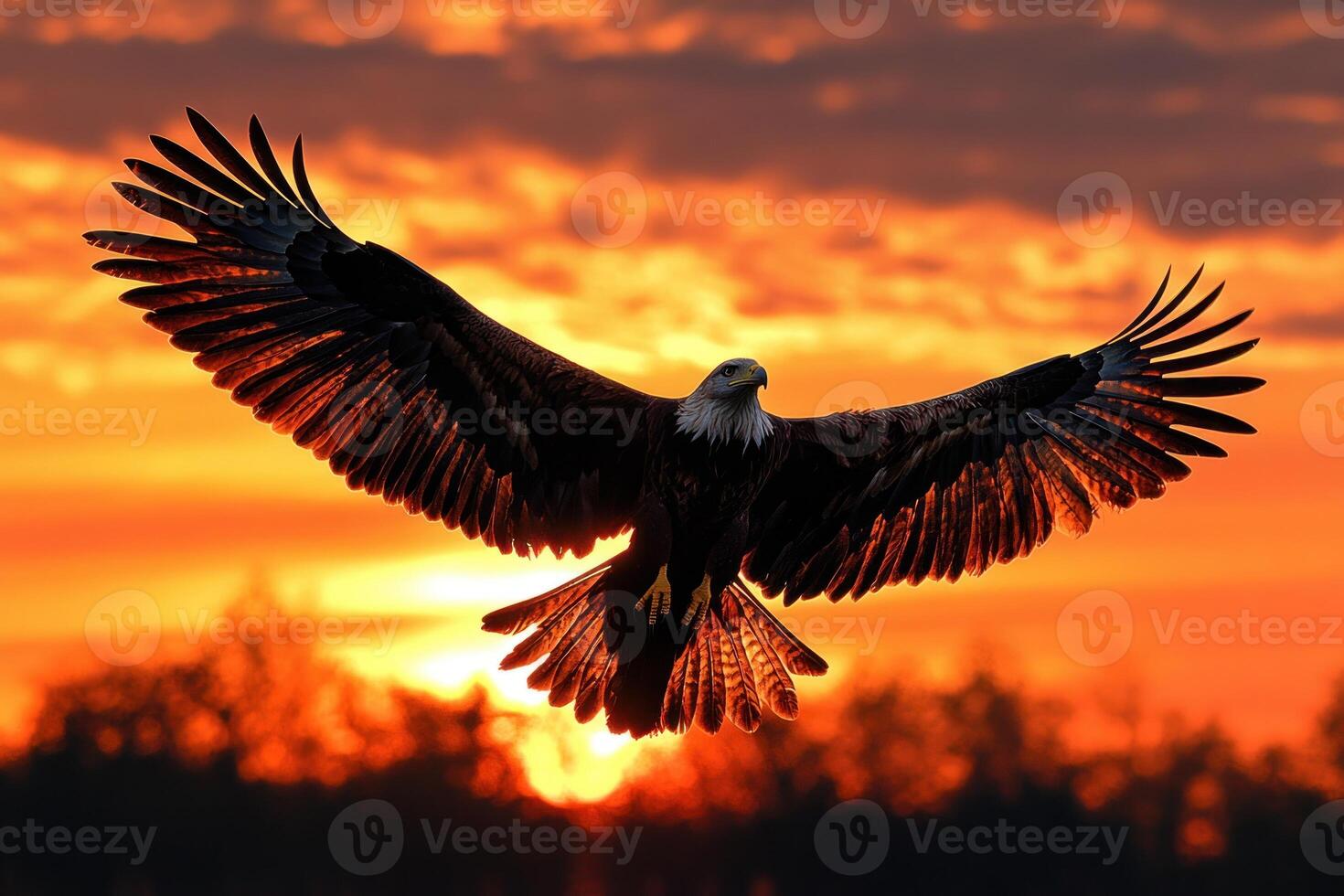 Bald Eagle Soaring Through Fiery Sunset Sky photo