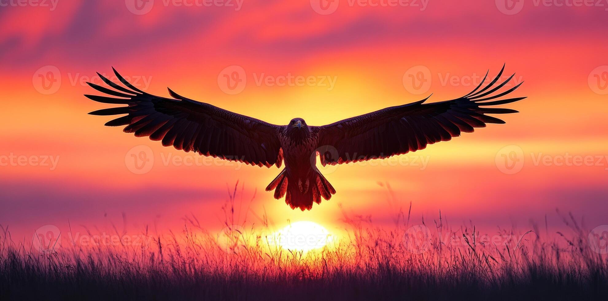 Eagle Silhouette Flying Against a Vibrant Sunset photo