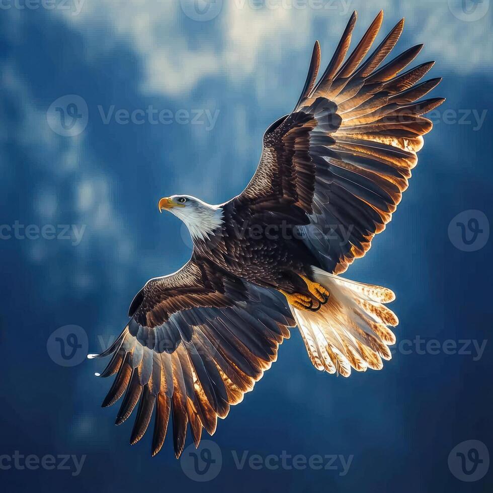 Bald Eagle in Flight with Wings Spread Against a Blue Sky photo