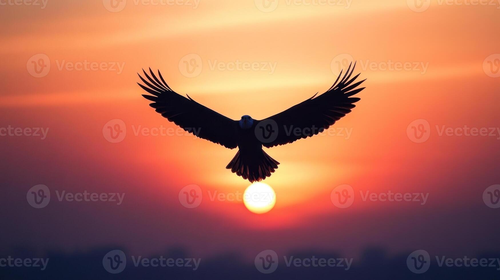 Silhouette of a Bird Soaring Above the Setting Sun photo