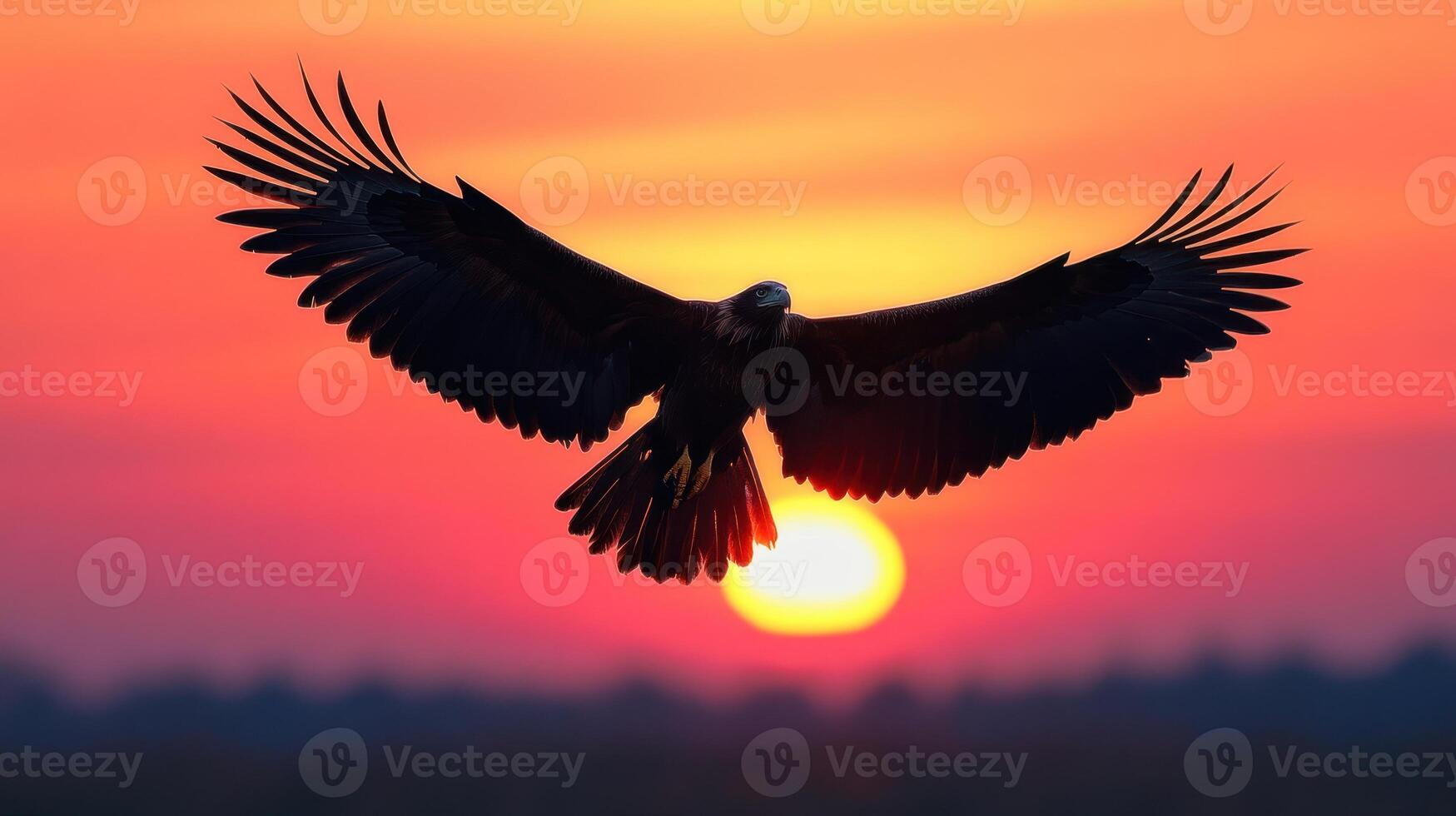 Eagle Silhouette Flying Against a Sunset Sky photo