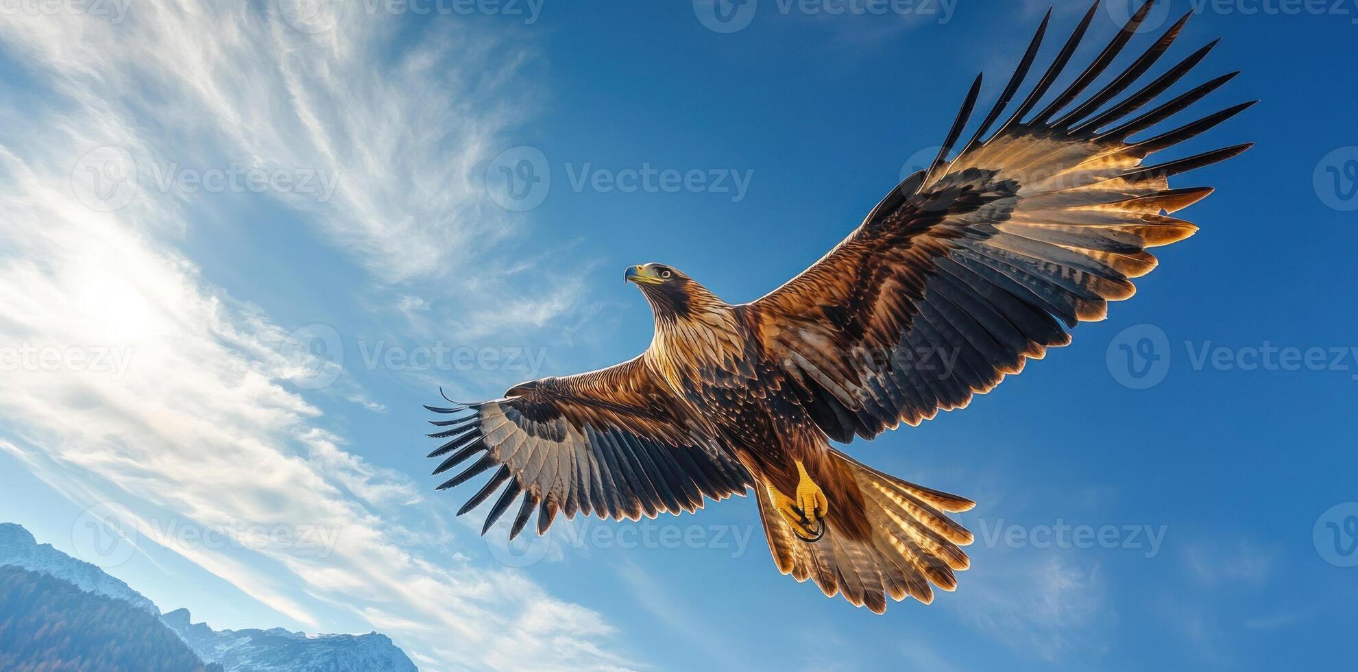Golden Eagle Soaring Through the Sky with Mountain in the Background photo