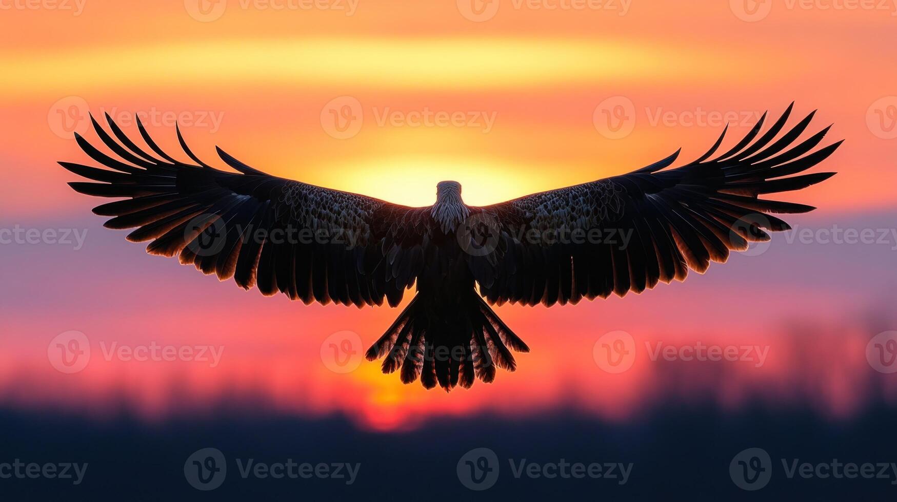 Silhouette of a bird of prey with outstretched wings against a sunset sky photo