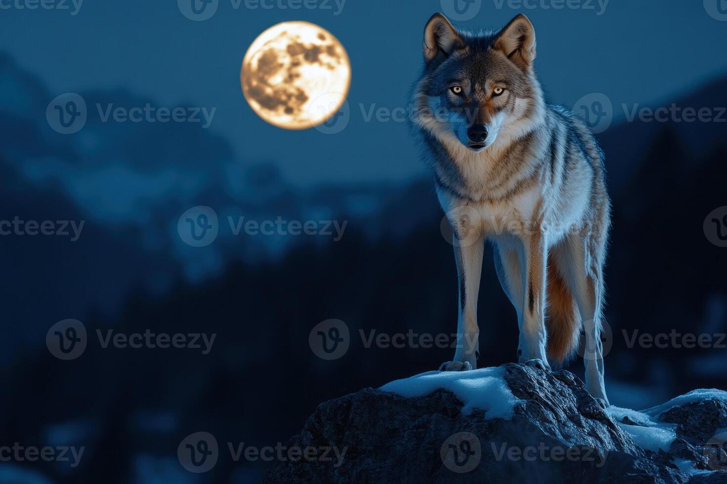 Lone Wolf Standing on a Rocky Outcrop under a Full Moon photo