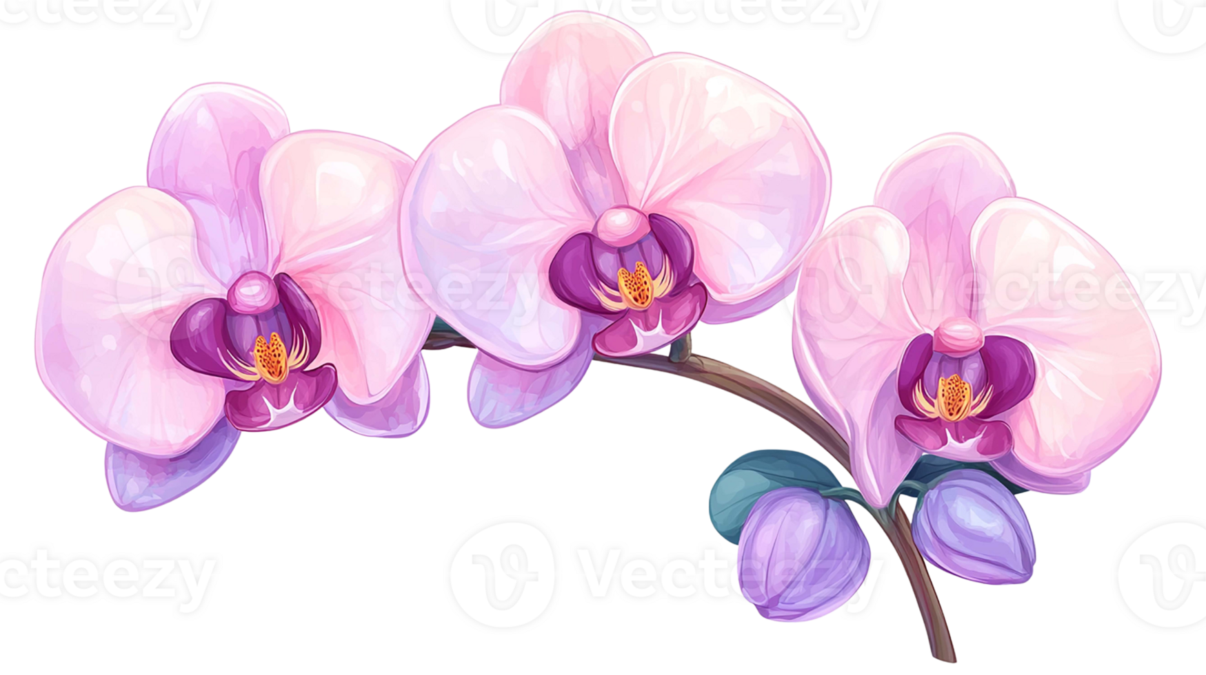 Beautiful pink orchids with delicate petals isolated on transparent background. png