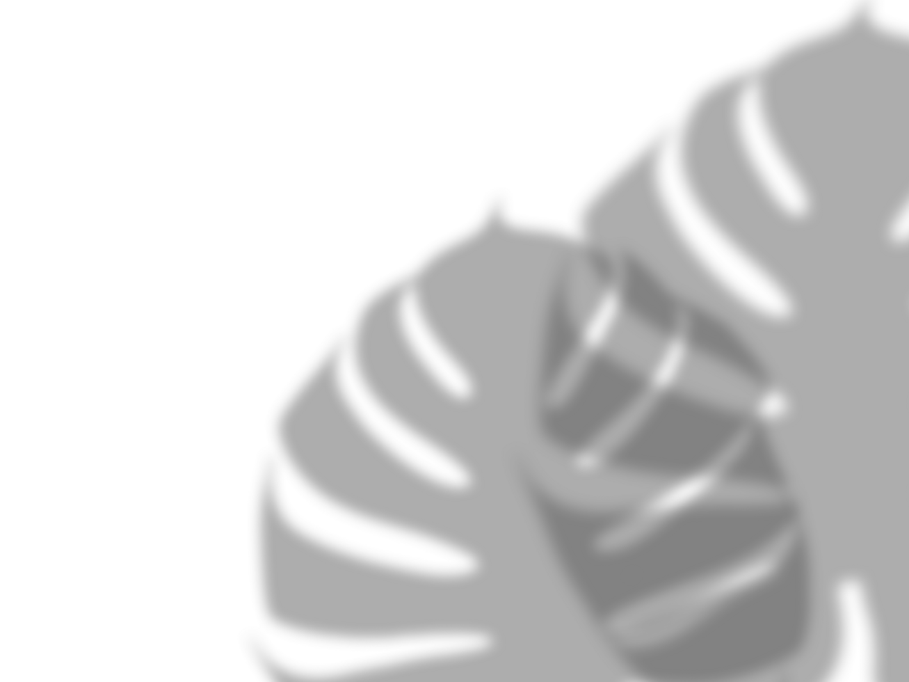 shadow of plants isolated png