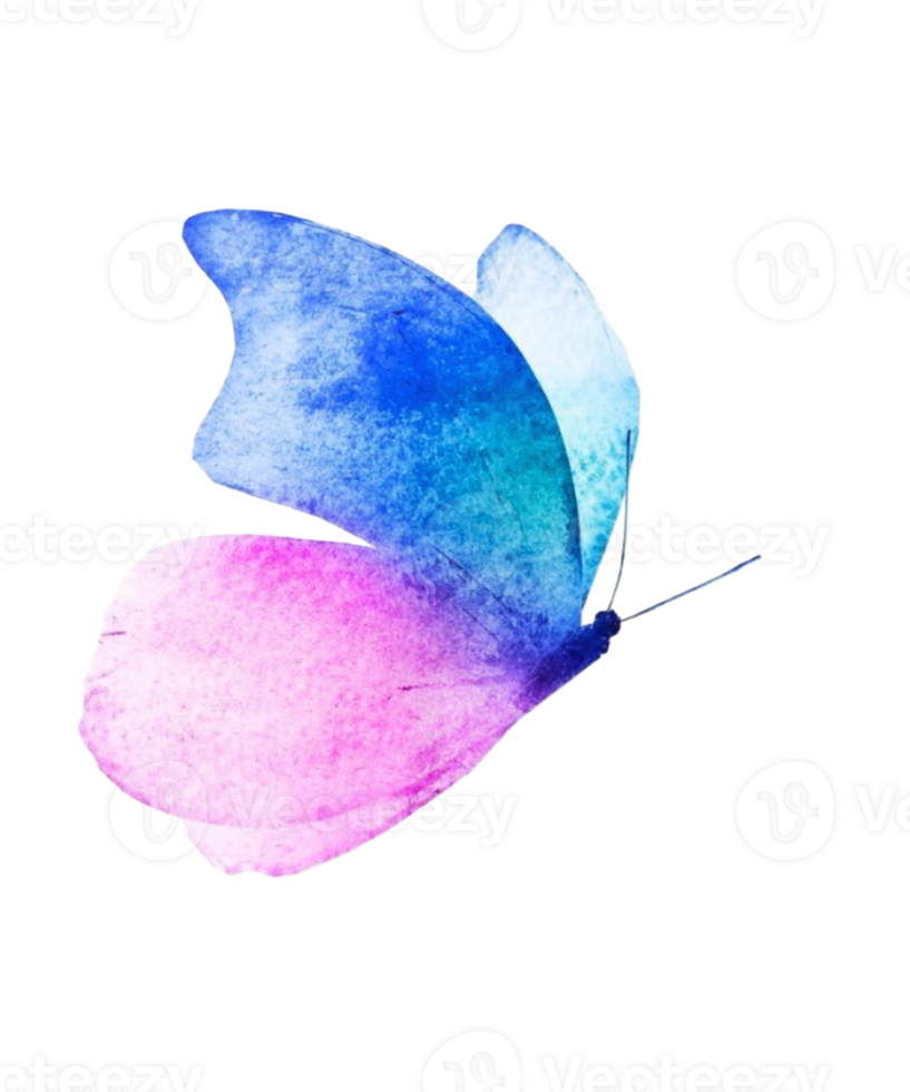 watercolor butterfly art png