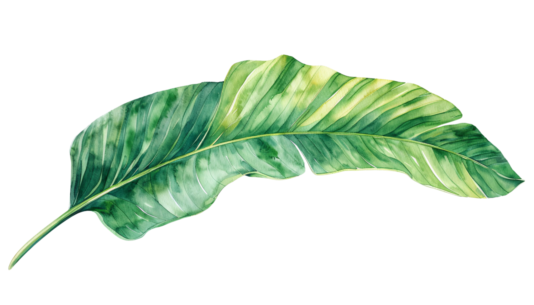 Isolated green leaf in watercolor style png