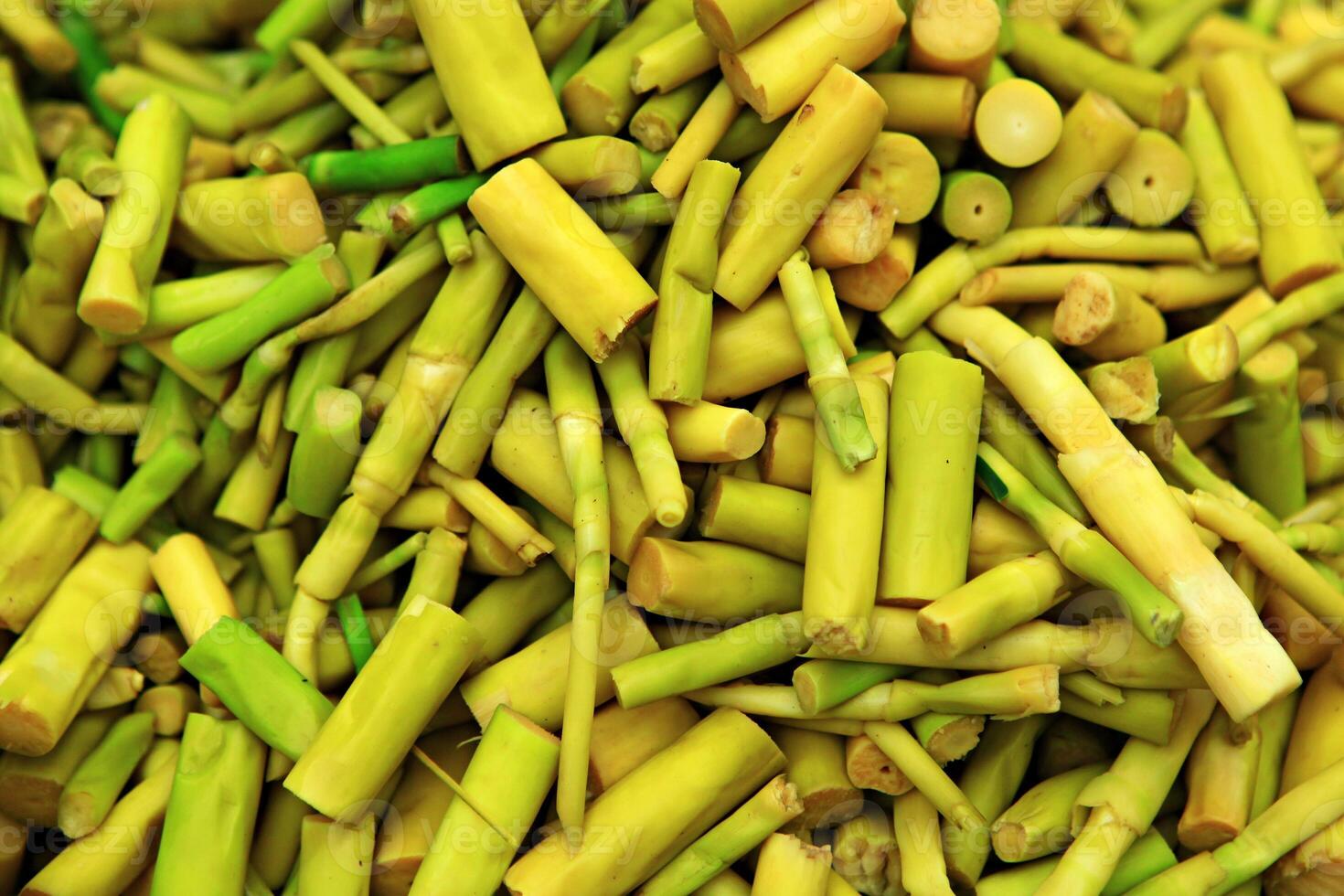 Fresh Bamboo shoots or bamboo sprouts background for sale at the morning market photo