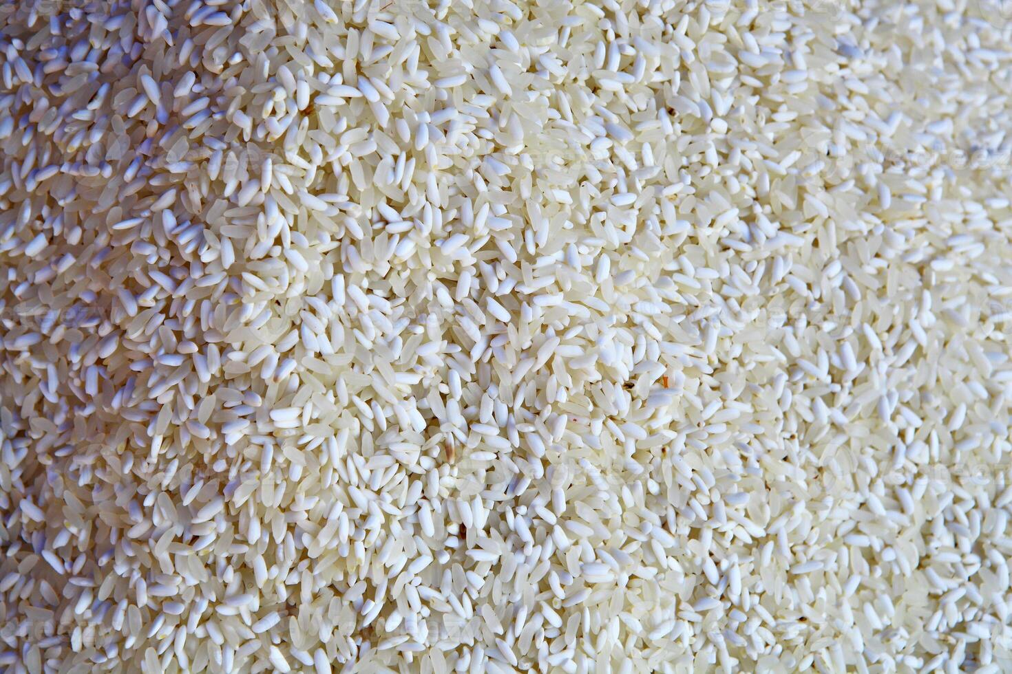 White sticky rice or long grain glutinous rice background from Thailand photo