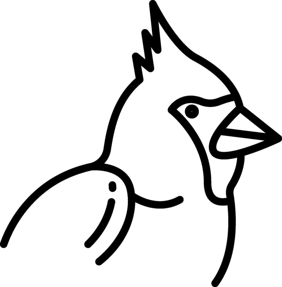 cardinal illustration design vector