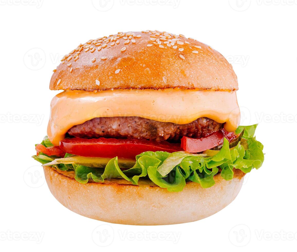 Delicious burger with lettuce, tomato, beef and cheese is waiting on white background photo
