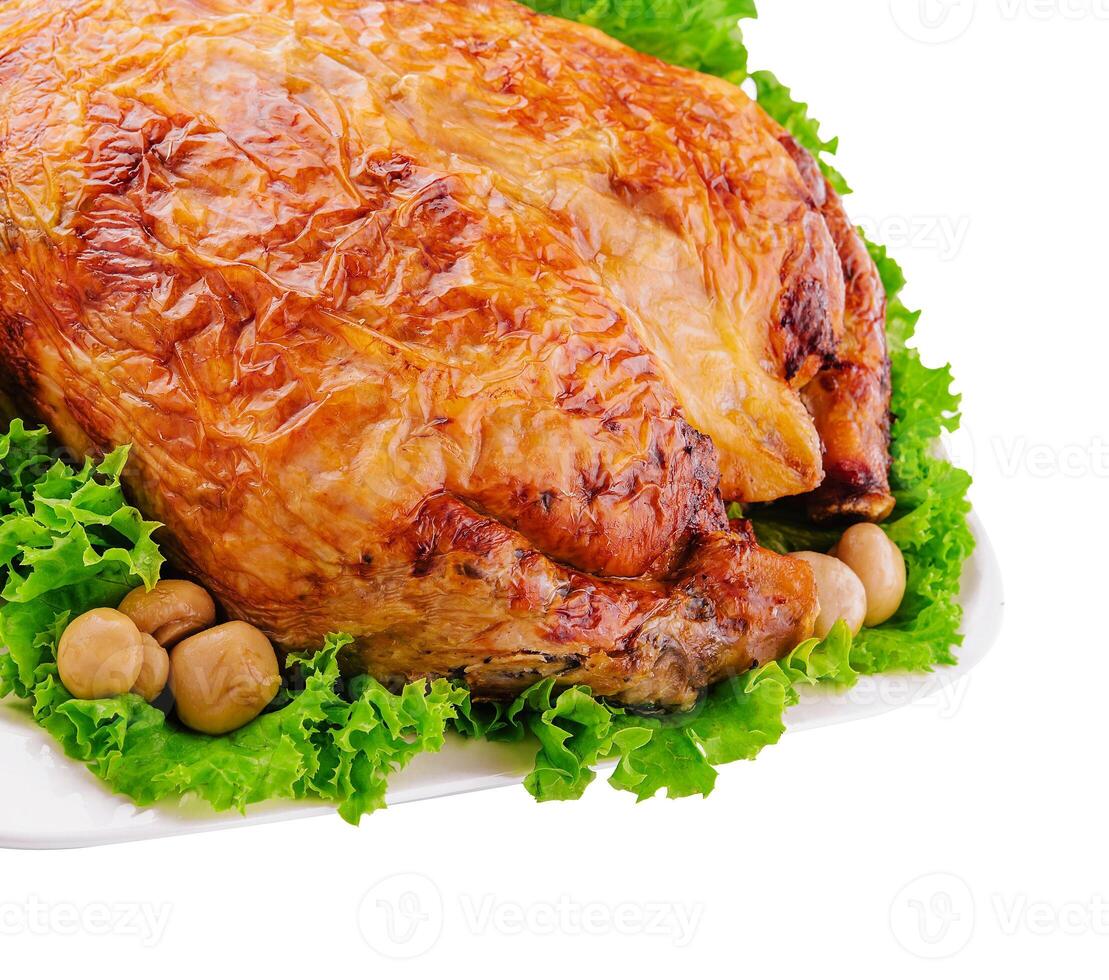 Golden roasted turkey on white background photo