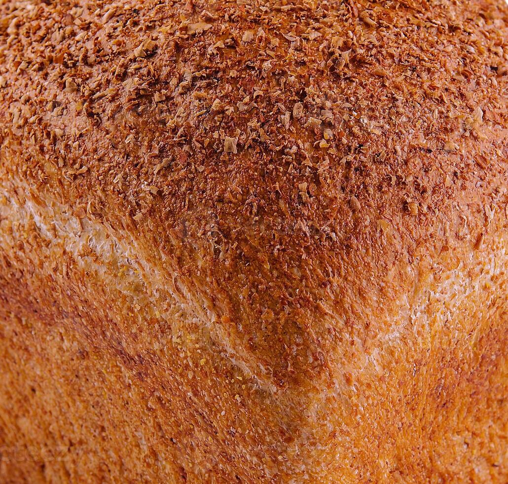 Close-up texture of freshly baked bread photo