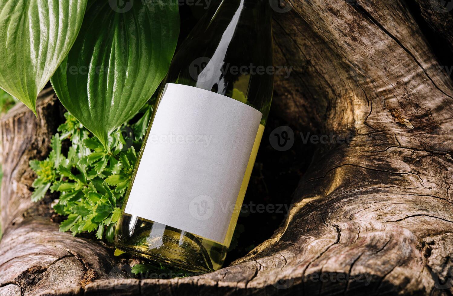 White wine bottle resting on a tree trunk surrounded by lush greenery photo