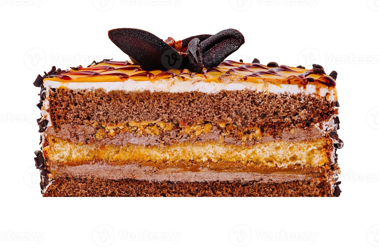 Delicious chocolate cake with caramel and chocolate chips being isolated on white background photo