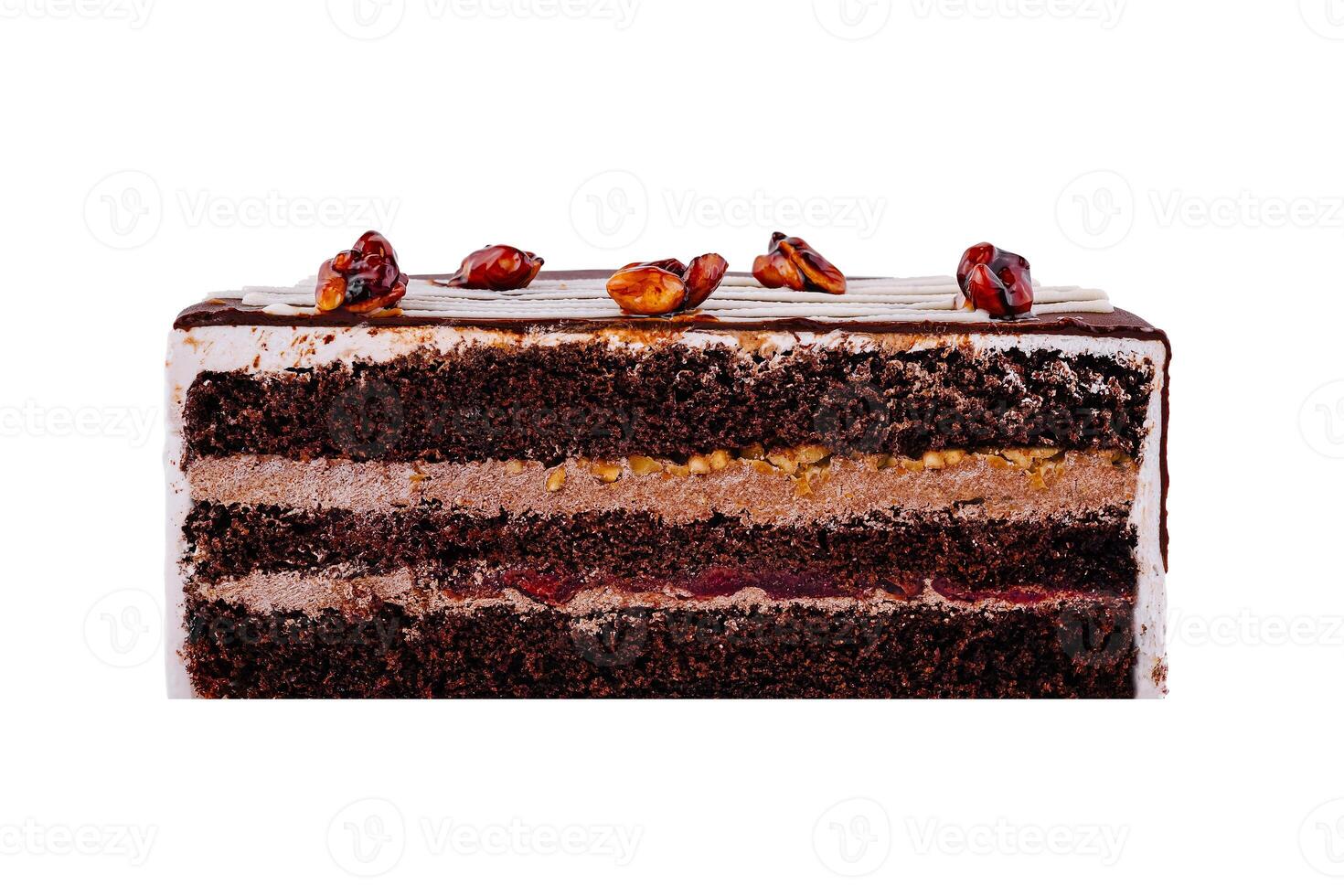 Delicious chocolate cake with nuts and cherry filling showing its layers photo