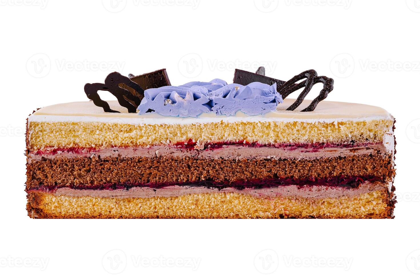 Delicious cake layers showing filling and frosting photo