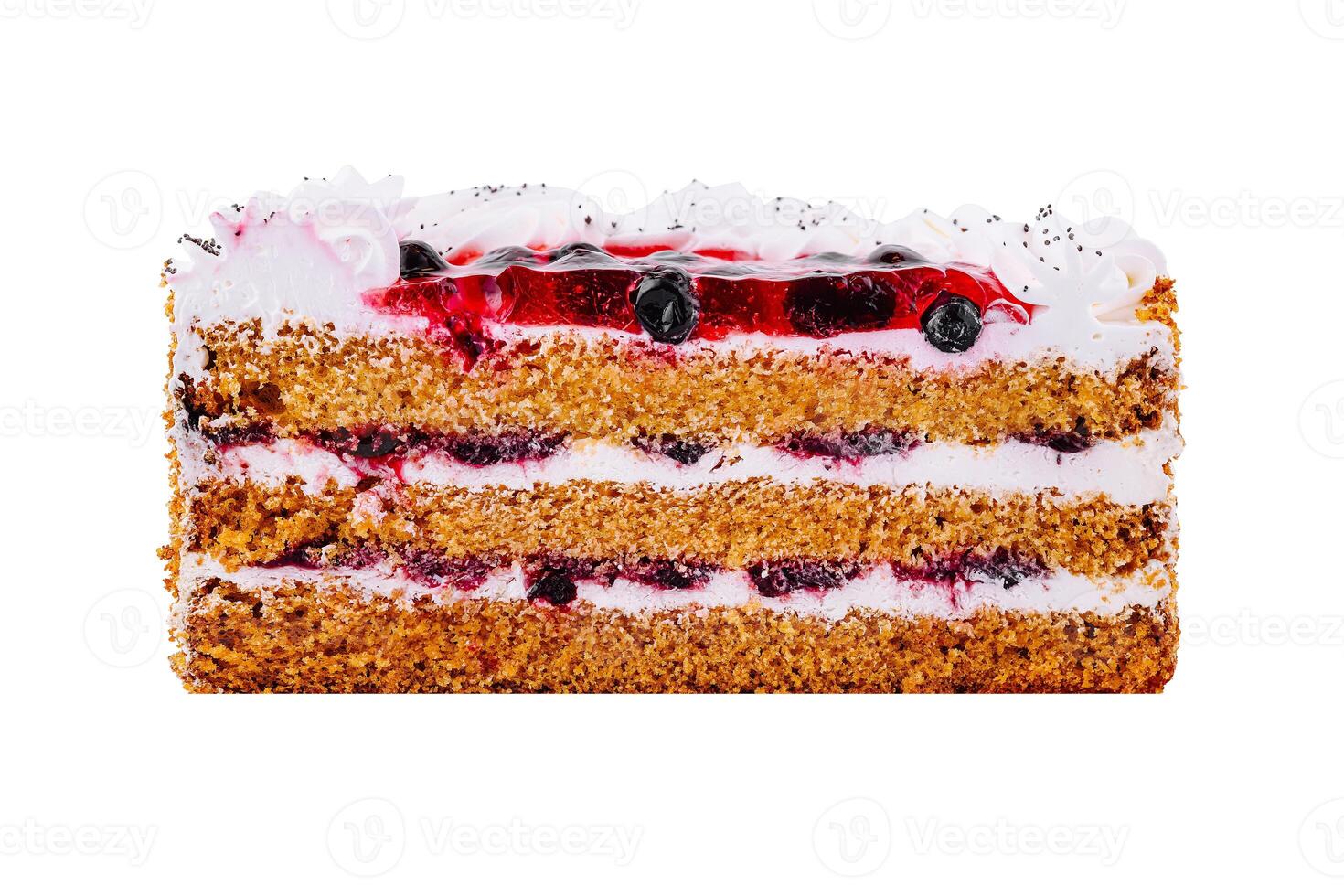 Delicious cake with berry filling and poppy seed topping isolated on white background photo