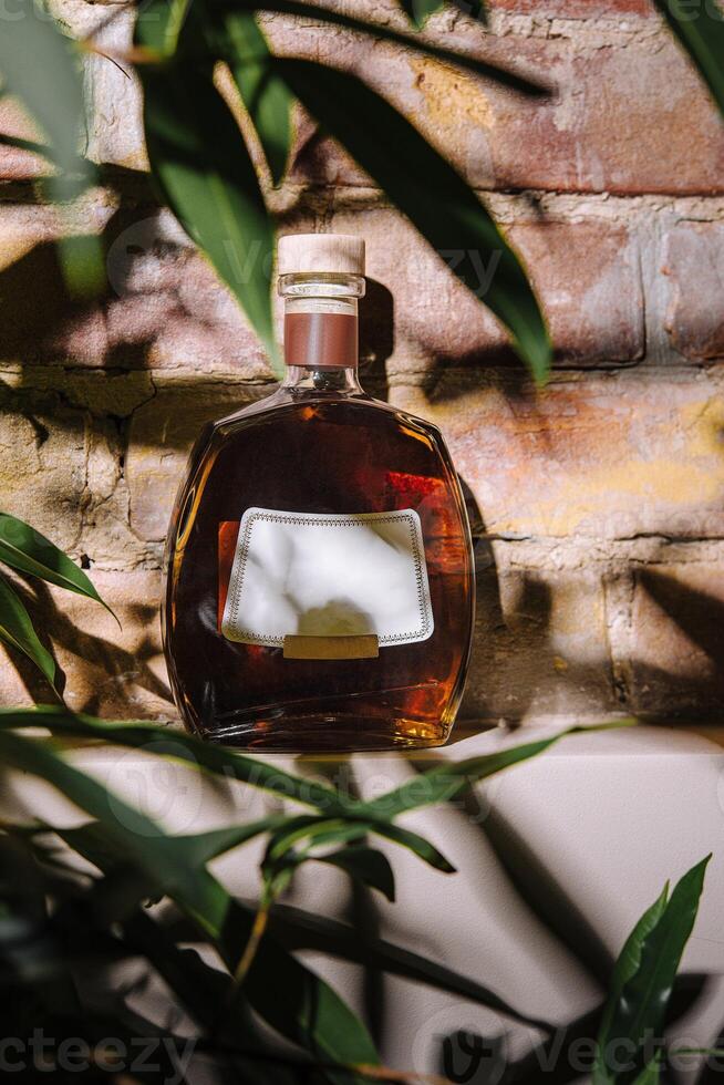 Bottle of alcohol resting on ledge with tropical plants and brick background photo