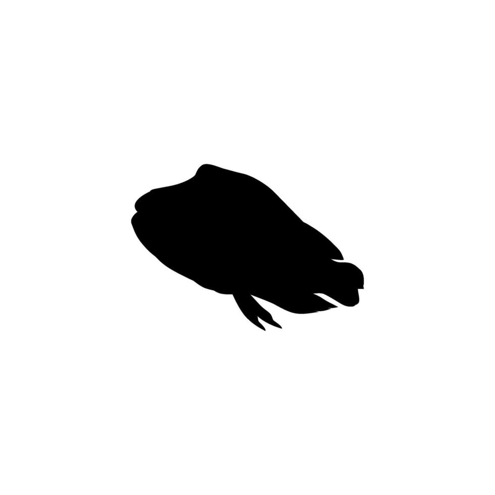Silhouette of the The Humphead wrasse, Cheilinus undulatus, also known as the Maori wrasse, Napoleon wrasse, Napoleon fish. Flat Style, can use for Logo Gram, Animal Illustration, Pictogram, ect vector