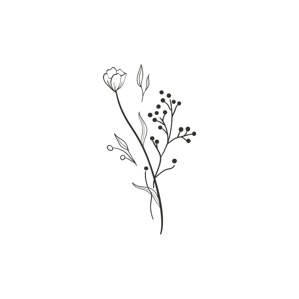Beautiful budding flower png
