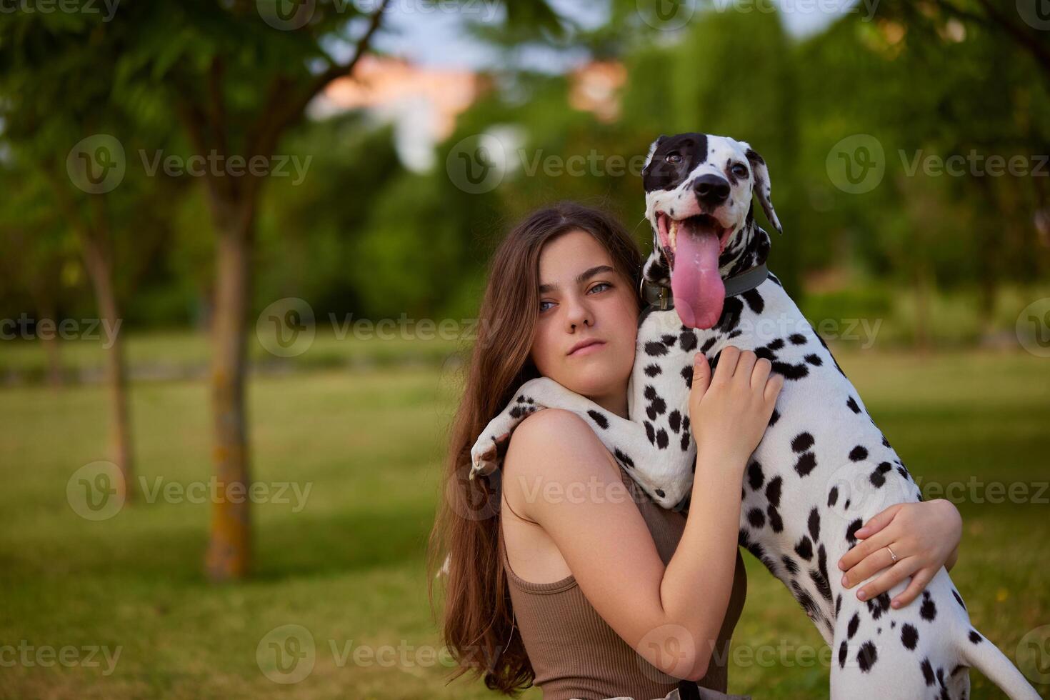 a young girl plays with a dalmatian in the park. dog care concept, love for animals concept photo