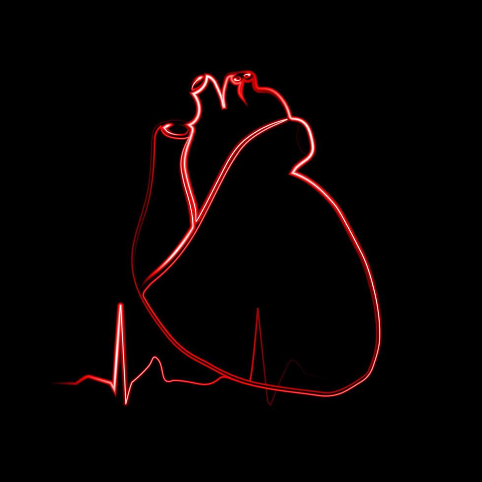 Illustration of human heart with neon effect. vector