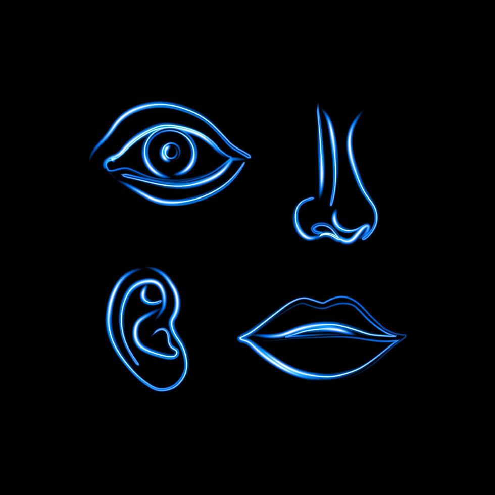 Set of human organs with neon effect. vector