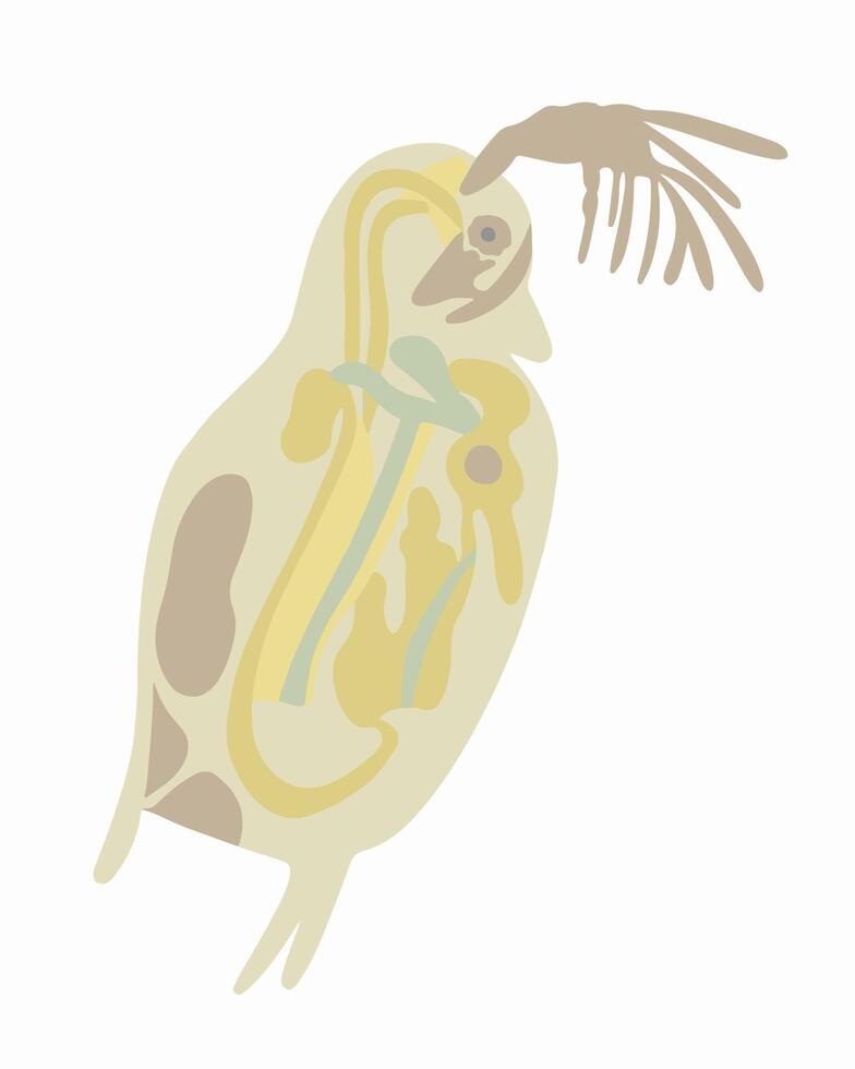Illustration of Daphnia under a microscope on a white background. vector