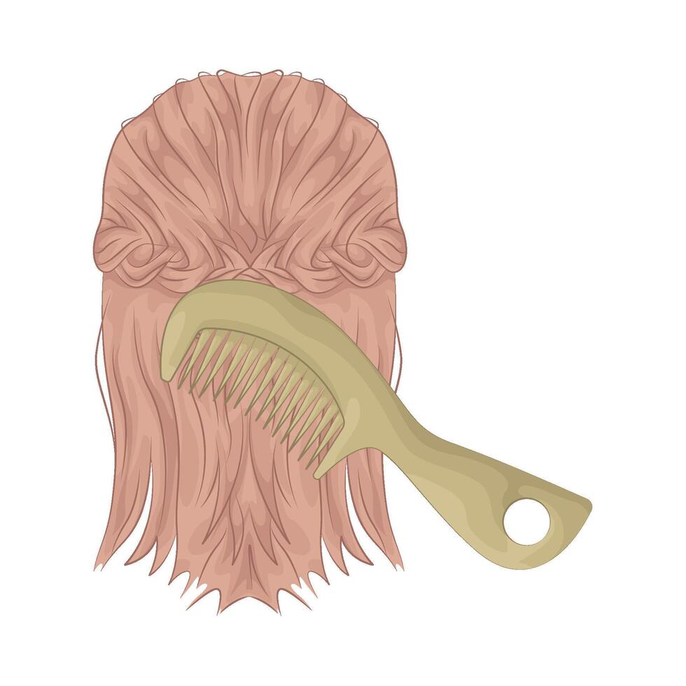 illustration of Beautiful hair is being combed vector