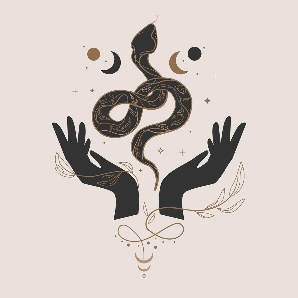 Esoteric art with a snake moon and open hands.Mystical conceptual design with a wriggling snake, crescent moon and female hands with botanical elements in boho style.Magic illustration vector