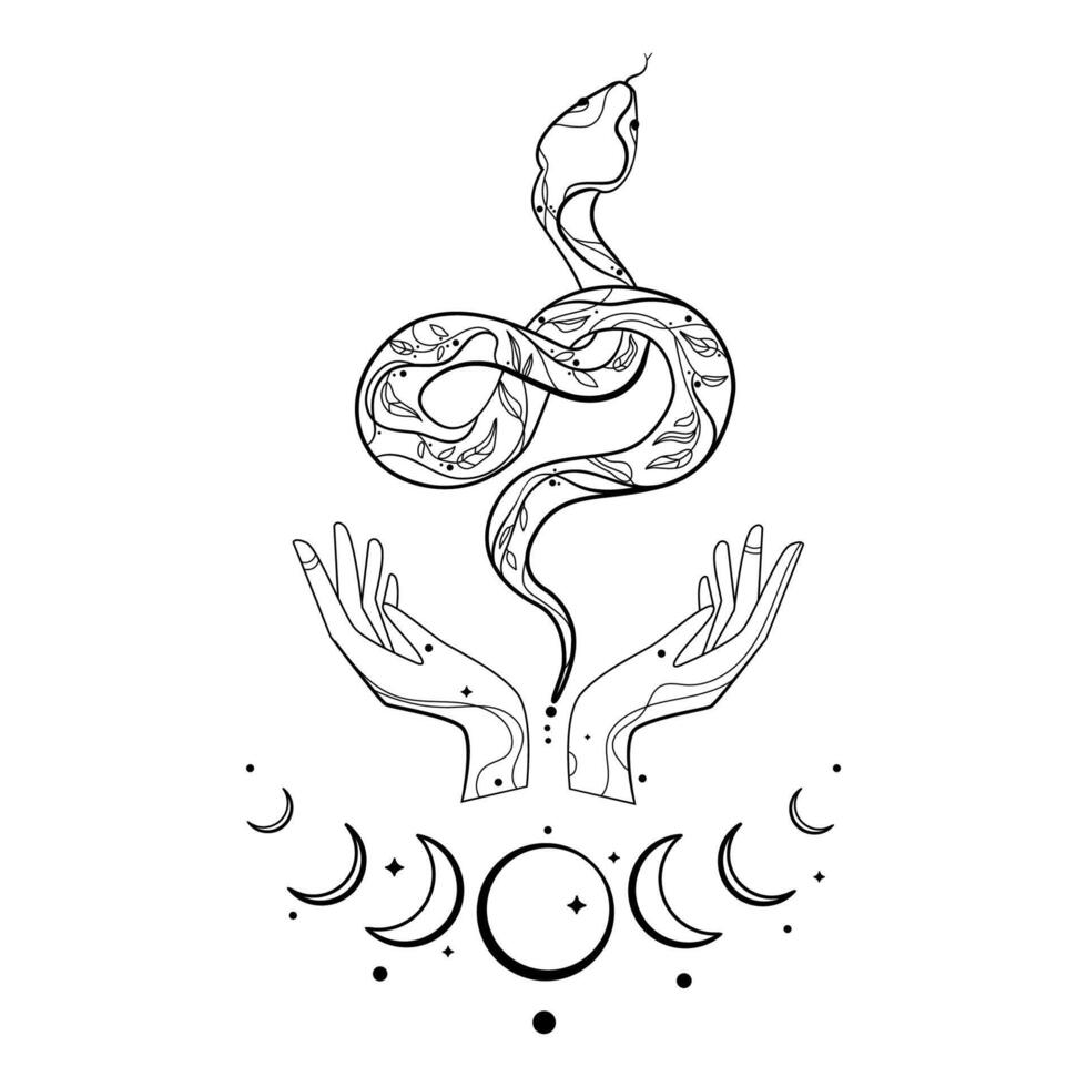 Esoterics and astrology concept Snake and hands with crescent moon and stars hand drawing line art design. Snake esoteric sketch for tattoo,fashion print,design element,textile,poster,cover. vector