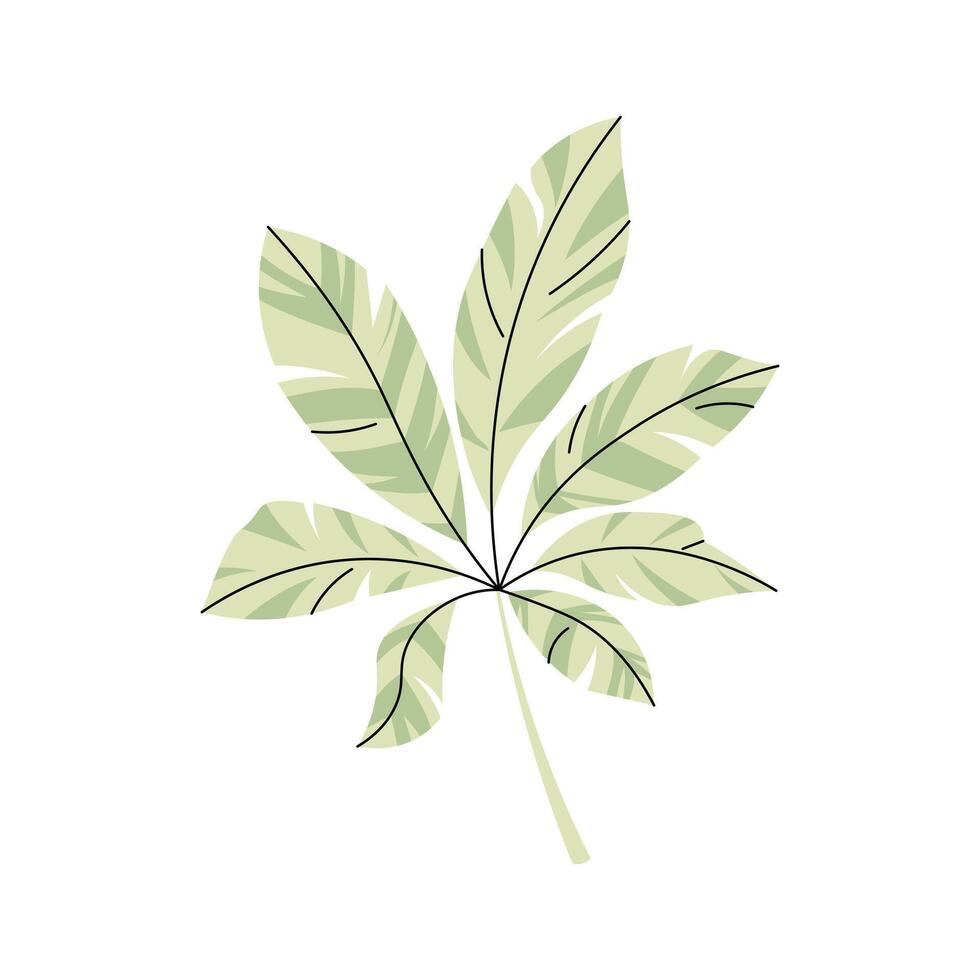 Palm leaf on white background. Cartoon illustration of tropical leaf in flat style. Jungle collection. clipart for clothes, fabric, greeting cards, stickers, etc. vector