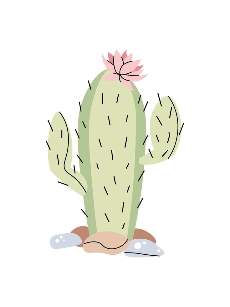 Cartoon cactus with flower on isolated background. Desert thorny plant in flat style. Safari collection. illustration for clothes, fabric, greeting cards, stickers, etc. vector
