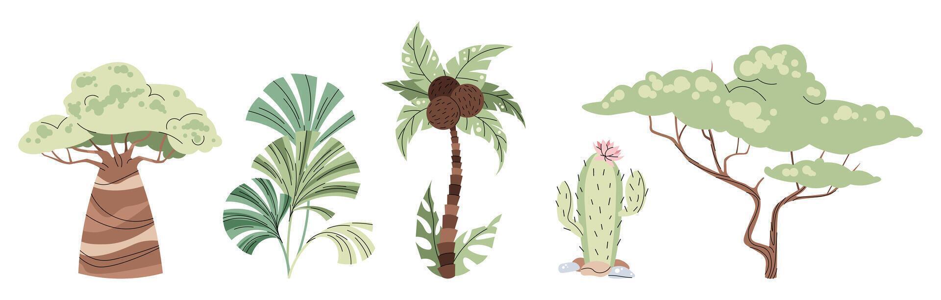Set of African trees on white background. Illustration of baobab, acacia, palm and cactus in flat cartoon style. Safari collection. clipart for clothes, fabric, greeting cards, stickers, etc. vector