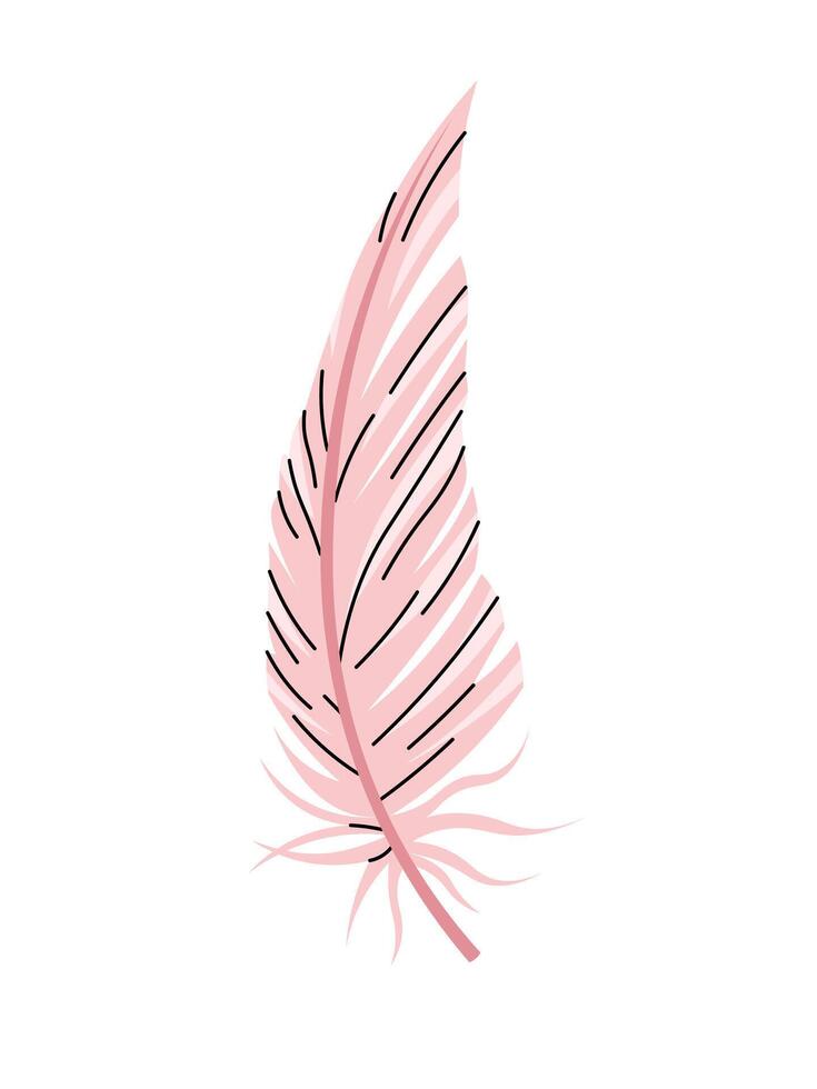 Pink bird feather on white background. Cartoon illustration in flat style. clipart for clothes, fabric, greeting cards, stickers, etc. vector